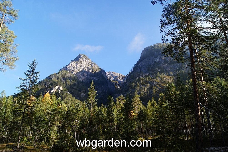 wbgarden alps 44.JPG